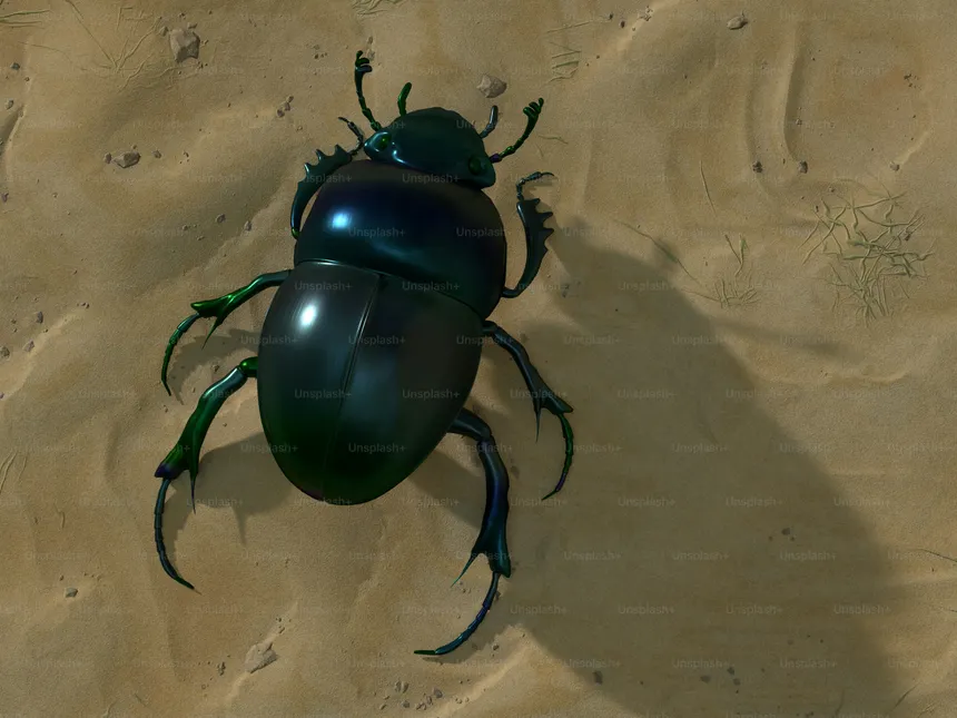 A really really big beetle